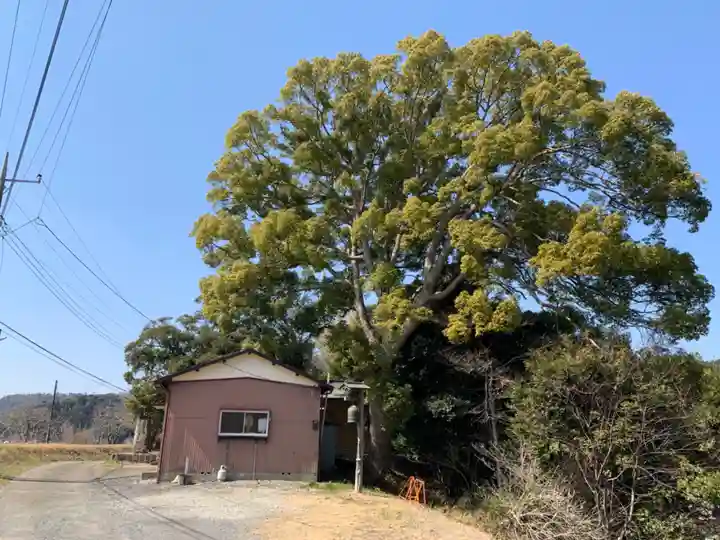 山神社(千葉県)