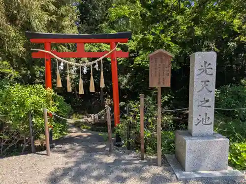 鷲宮神社(埼玉県)