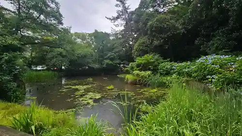出雲大社(島根県)