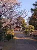八幡社の{uncategorized: "未分類", other: "その他", undefined: "問題あり", building: "その他建物", grave: "お墓", sacred_gate: "鳥居", guardian: "狛犬", statue: "像", buddha: "仏像", history: "歴史", nature: "自然", garden: "庭園", animal: "動物", pagoda: "塔", temizu: "手水舎", mountain_gate: "山門・神門", sanctuary: "本殿・本堂", subordinate: "末社・摂社", art: "芸術", scenery: "景色", jizo: "地蔵", ema: "絵馬", goshuin: "御朱印", omikuji: "おみくじ", items: "授与品その他", amulet: "お守り", goshuincho: "御朱印帳", eats: "食事", festival: "お祭り", votive_dance: "神楽", shichigosan: "七五三参", wedding: "結婚式", experience: "体験その他", initially: "初詣", around: "周辺", anti_infection: "感染症対策"}