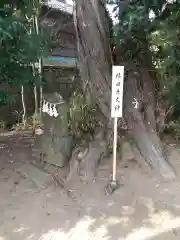 星宮神社の自然