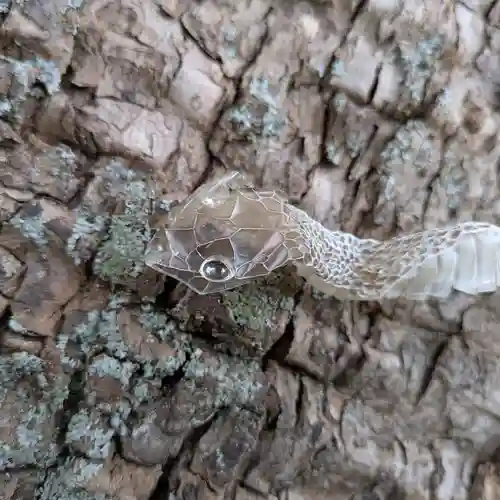 三津厳島神社(愛媛県)