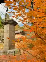 土津神社|こどもと出世の神さまの自然