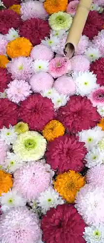 心行寺(東京都)