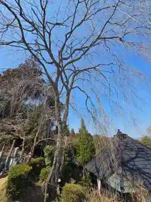 真福寺(岡山県)