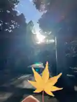 金刀比羅神社の自然