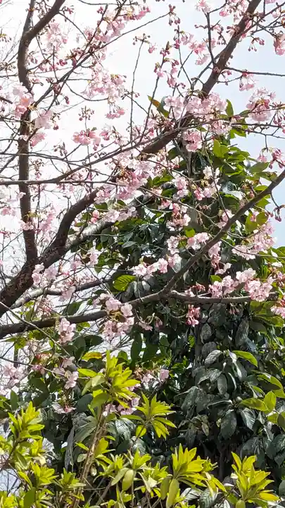 霊山観音(京都府)