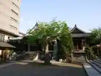 南蔵院のその他建物
