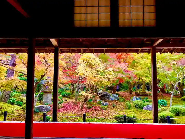 圓光寺(京都府)