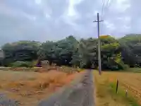 淺間社(赤池町)の自然