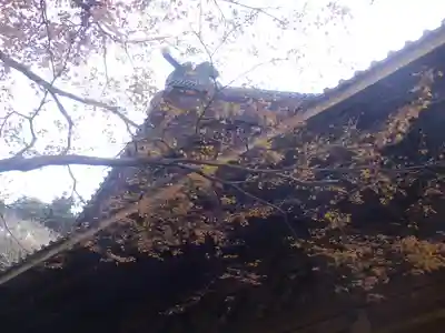 妙本寺のその他建物