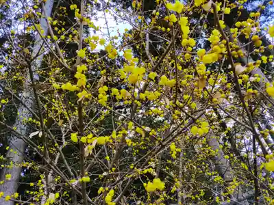 芳賀天満宮(栃木県)