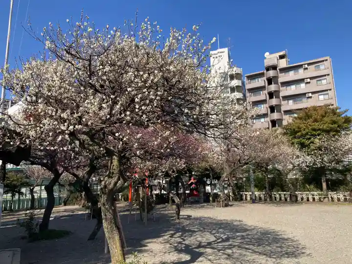 町田天満宮(東京都)