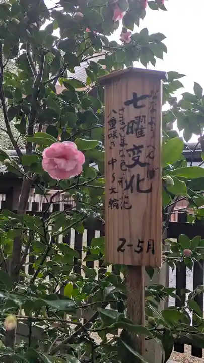 城南宮(京都府)