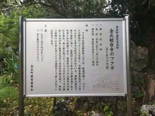 金武観音寺の建物その他