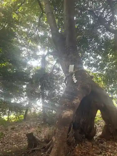 有鹿神社(神奈川県)