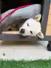 彦嶽宮の御朱印