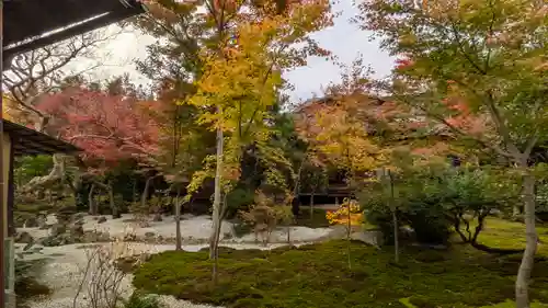 興聖寺(京都府)