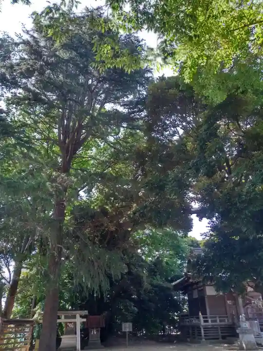 初富稲荷神社のその他建物