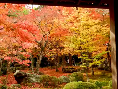 圓光寺(京都府)