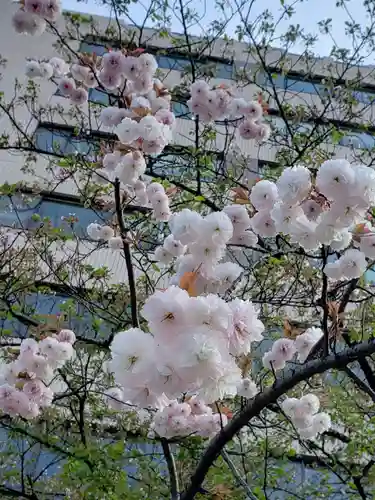 花園神社の自然