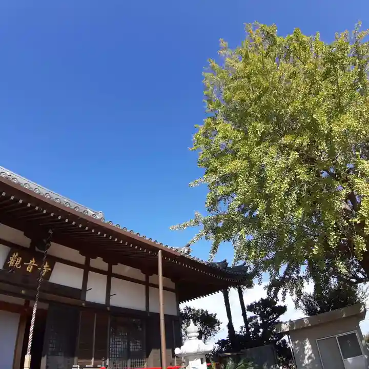 法話と天井絵の寺 観音寺の本殿・本堂