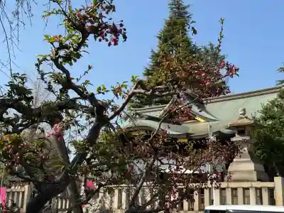 尾久八幡神社の{uncategorized: "未分類", other: "その他", undefined: "問題あり", building: "その他建物", grave: "お墓", sacred_gate: "鳥居", guardian: "狛犬", statue: "像", buddha: "仏像", history: "歴史", nature: "自然", garden: "庭園", animal: "動物", pagoda: "塔", temizu: "手水舎", mountain_gate: "山門・神門", sanctuary: "本殿・本堂", subordinate: "末社・摂社", art: "芸術", scenery: "景色", jizo: "地蔵", ema: "絵馬", goshuin: "御朱印", omikuji: "おみくじ", items: "授与品その他", amulet: "お守り", goshuincho: "御朱印帳", eats: "食事", festival: "お祭り", votive_dance: "神楽", shichigosan: "七五三参", wedding: "結婚式", experience: "体験その他", initially: "初詣", around: "周辺", anti_infection: "感染症対策"}