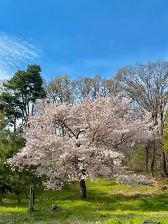 蚊里田八幡宮の{uncategorized: "未分類", other: "その他", undefined: "問題あり", building: "その他建物", grave: "お墓", sacred_gate: "鳥居", guardian: "狛犬", statue: "像", buddha: "仏像", history: "歴史", nature: "自然", garden: "庭園", animal: "動物", pagoda: "塔", temizu: "手水舎", mountain_gate: "山門・神門", sanctuary: "本殿・本堂", subordinate: "末社・摂社", art: "芸術", scenery: "景色", jizo: "地蔵", ema: "絵馬", goshuin: "御朱印", omikuji: "おみくじ", items: "授与品その他", amulet: "お守り", goshuincho: "御朱印帳", eats: "食事", festival: "お祭り", votive_dance: "神楽", shichigosan: "七五三参", wedding: "結婚式", experience: "体験その他", initially: "初詣", around: "周辺", anti_infection: "感染症対策"}