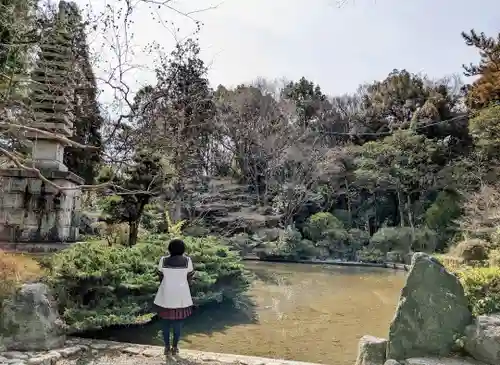 妙興報恩禅寺（妙興寺）の庭園