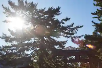 氣比神宮(福井県)