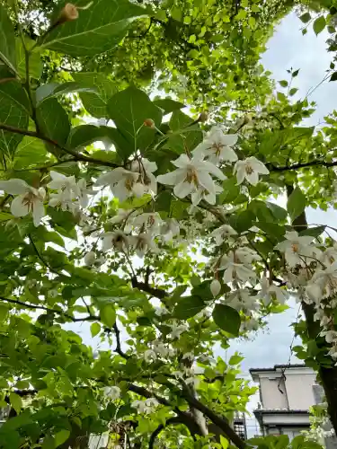 香福寺(神奈川県)