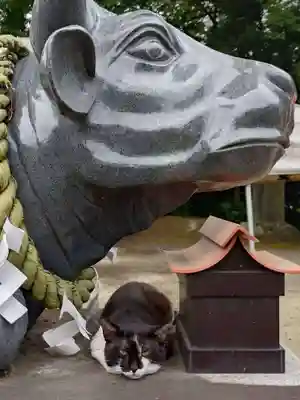 大生郷天満宮(茨城県)