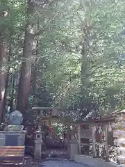 荒立神社の自然