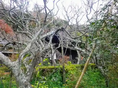 瑞泉寺の庭園