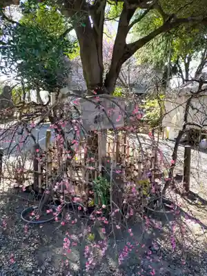 牛天神北野神社(東京都)