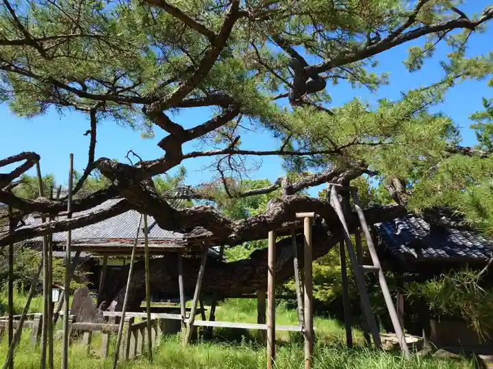 本宗寺(愛知県)