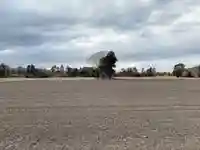 保食神社(千葉県)