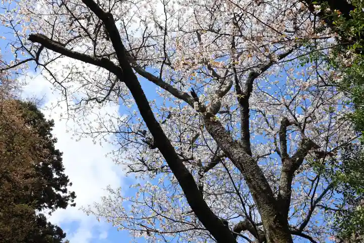 金峯神社(吉野町)の自然