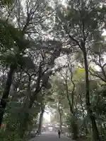 明治神宮(東京都)