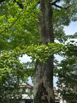 九頭大明神(大阪府)