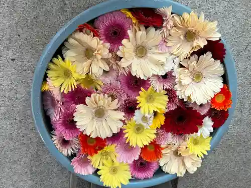 草加神社(埼玉県)