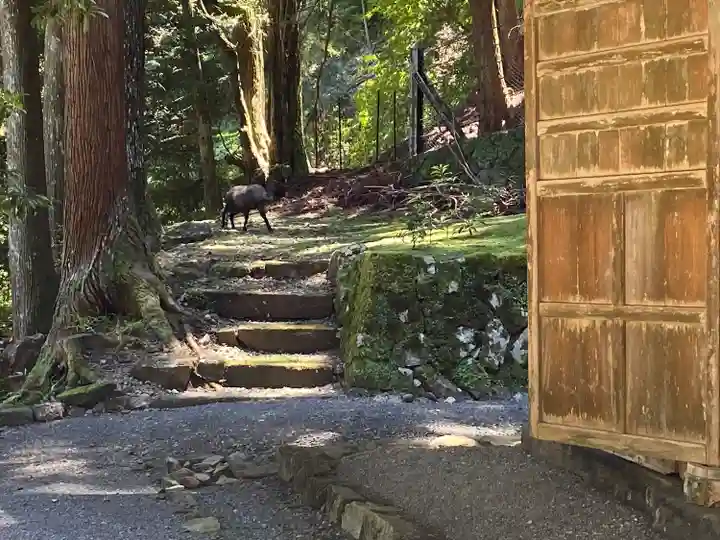 久遠寺(山梨県)