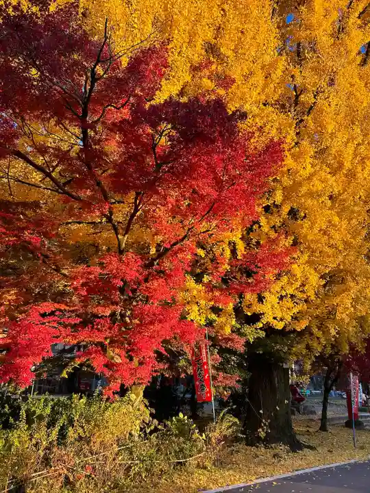 桃太郎神社(栗栖)の自然