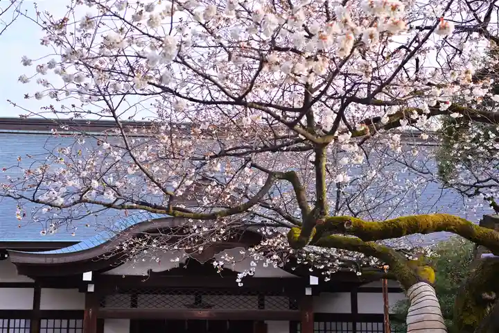 靖國神社(東京都)