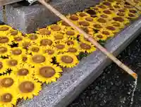 射水神社の手水舎