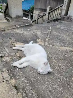 羽黒神社の御朱印