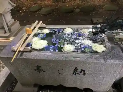 今宮神社の手水舎