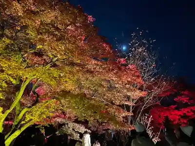 二条天皇 香隆寺陵(京都府)