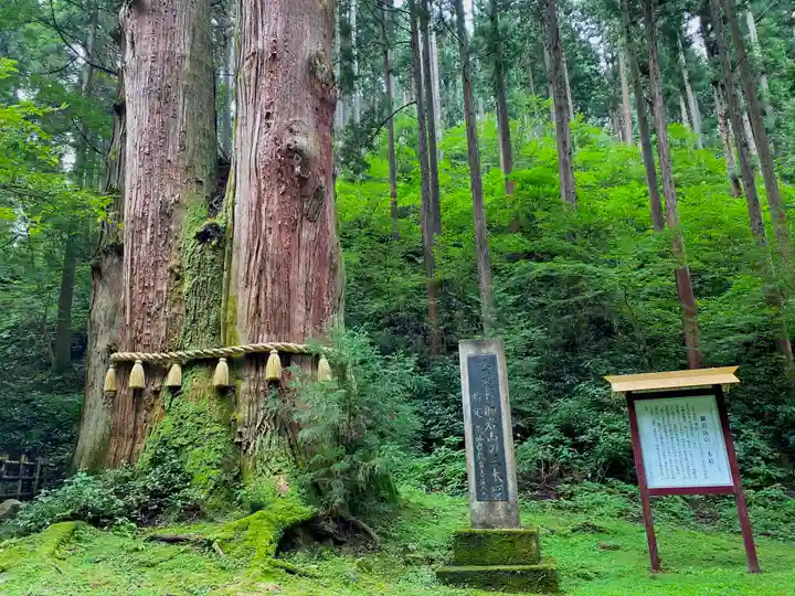 御岩神社の自然