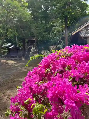 日吉神社(長野県)